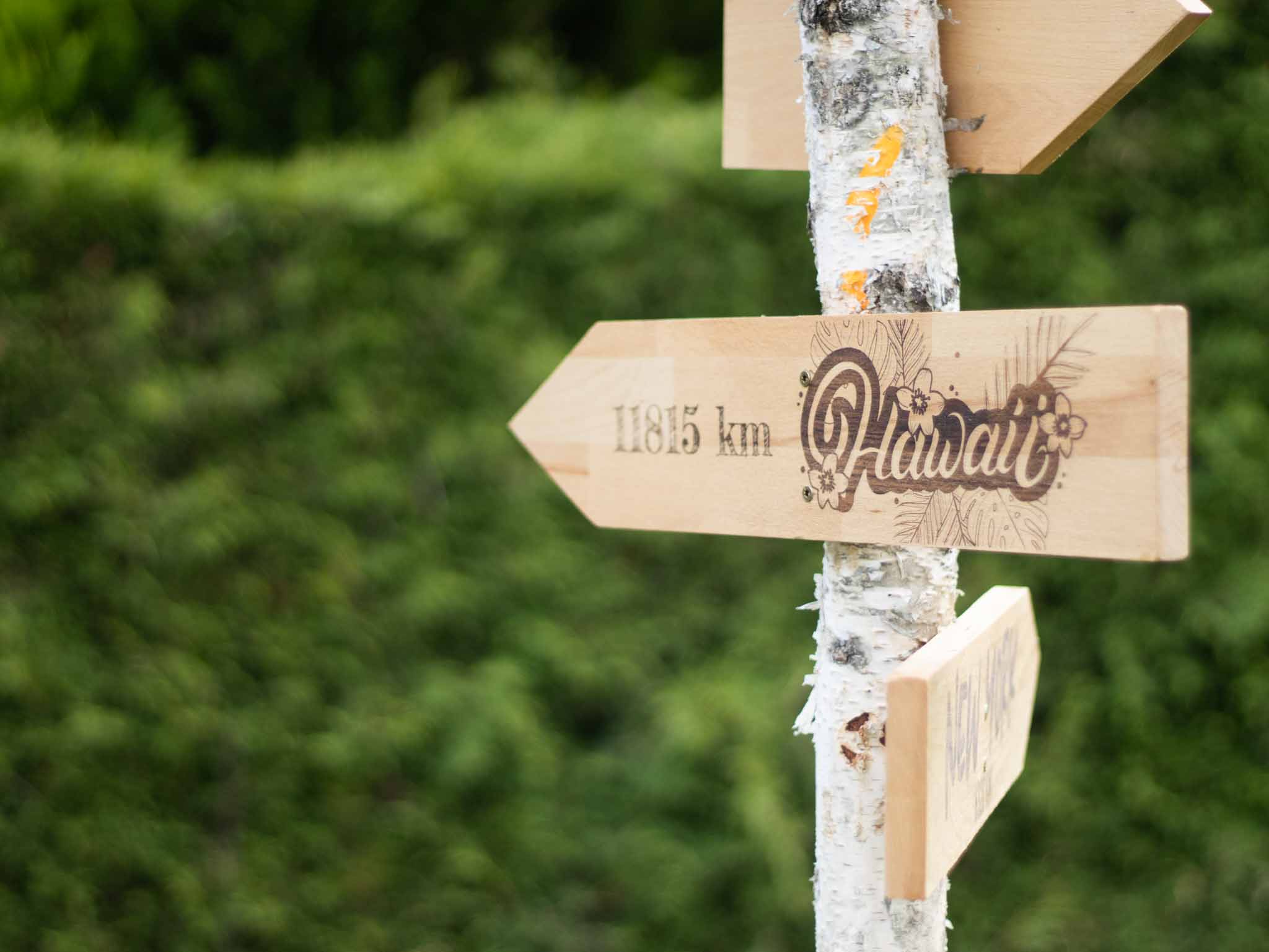 Fabelhafte Wegweiser Holz Fur Garten Bilder